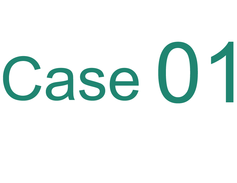 Case 01